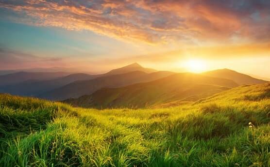 Natura – Vindecătoarea cea mai bună