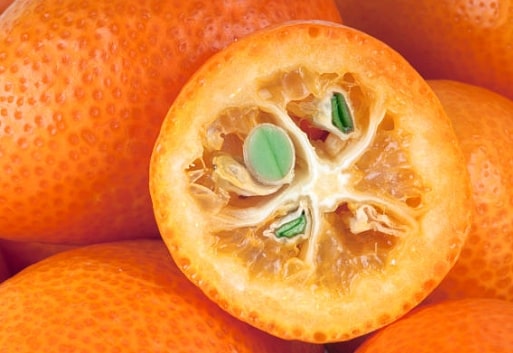 Kumquat - Informații și beneficii