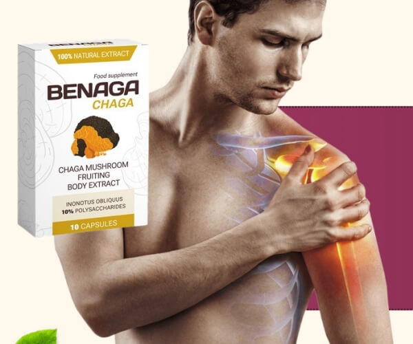 Benaga Chaga pentru dureri articulare